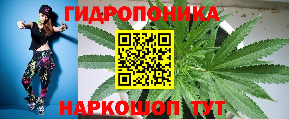 МАРИХУАНА Bruce Banner  Конопля OG Kush  МАРИХУАНА тримм  Усть-Илимск  Вход с VPN  Каннабис конопля 